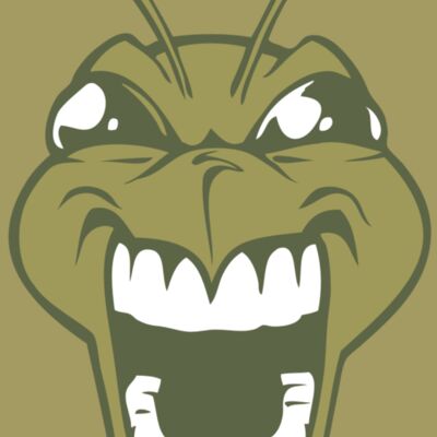 BAW BEE 13 RC Thumbnail