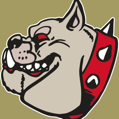 AR BDOG 47 RC Thumbnail