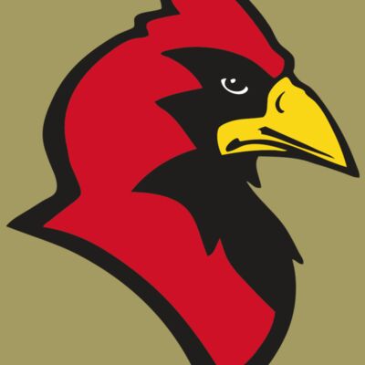 AR CARDINAL 20 RC Thumbnail