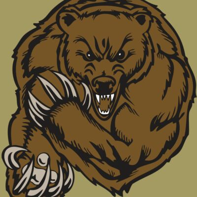 BAW BEAR 07 RC Thumbnail