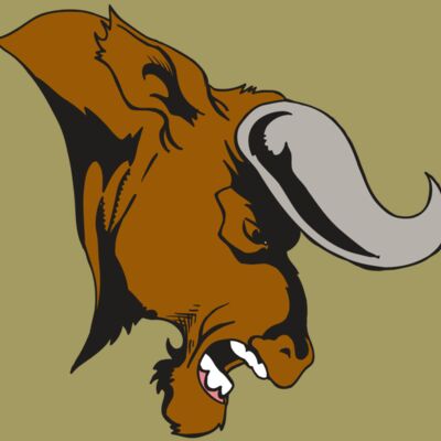 AR5 BULL 07 RQC Thumbnail