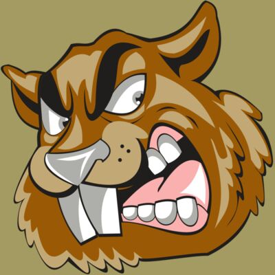 BEAVER HD0504 RQC Thumbnail