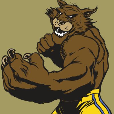 AR WILDCAT 48 RC Thumbnail