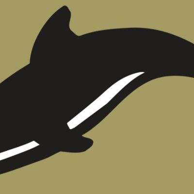 AR DOLPIN 16 RC Thumbnail