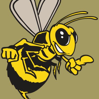 AR BEE 20 RC Thumbnail