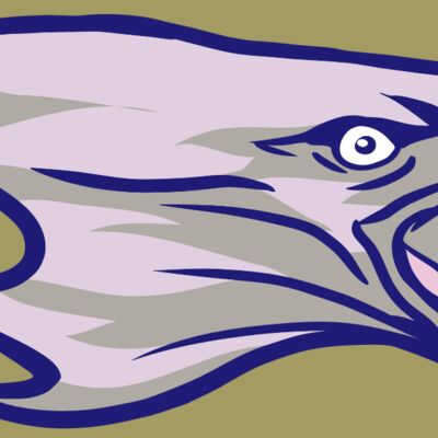 AR15 EAGLE 01 RQC Thumbnail