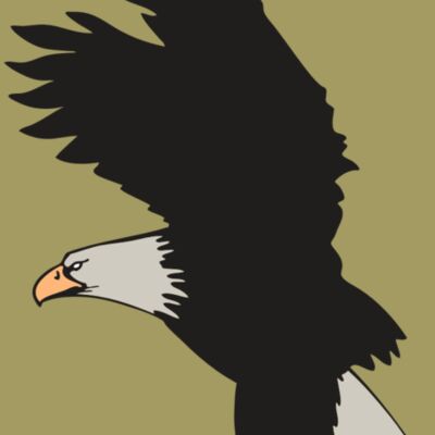 AR EAGLE 91 RC Thumbnail