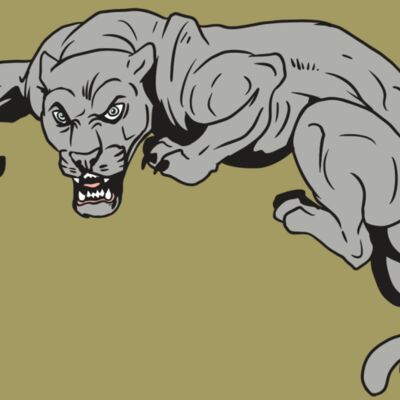 AR10 PANTHER 02 RQC Thumbnail