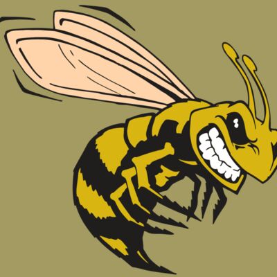 AR BEE 50 RC Thumbnail