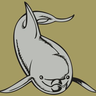 BAW DOLPHIN 02 RC Thumbnail