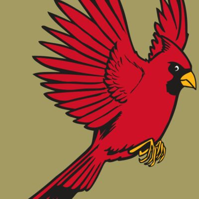 BAW CARDINAL 19 RC Thumbnail