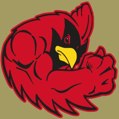 AR CARDINAL 29 RC Thumbnail