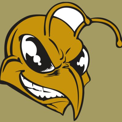 BAW BEE 18 RC Thumbnail