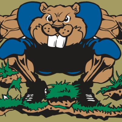 AR14 BEAVER FBLL 04 RQC Thumbnail