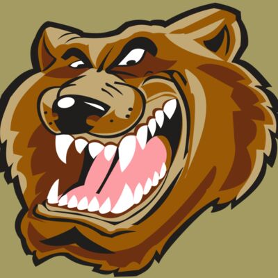 BEAR HD0503 RQC Thumbnail