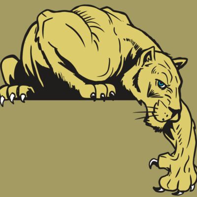 AR10 PANTHER 06 RQC Thumbnail