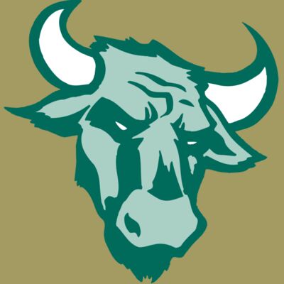 AR BULL 37 RC Thumbnail