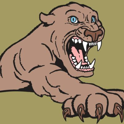 AR5 COUGAR 20 RQC Thumbnail