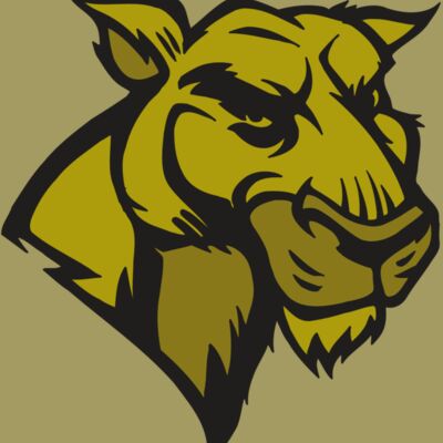 AR5 COUGAR 18 RQC Thumbnail