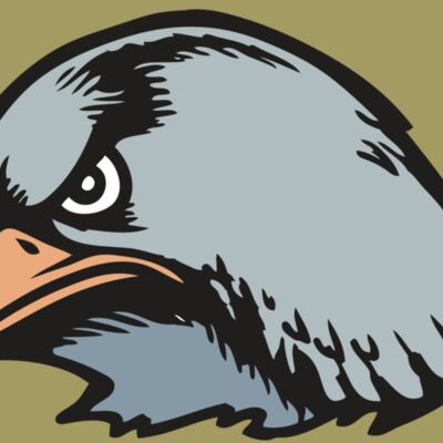 BAW HWK FLCN 03 RC Thumbnail