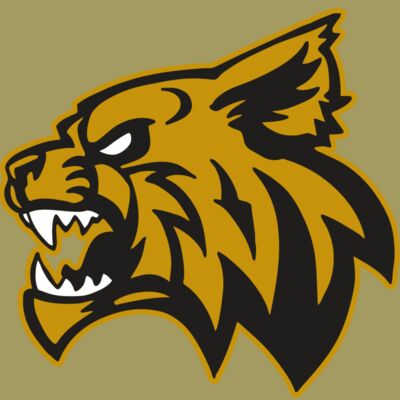 AR WILDCAT 16 RC Thumbnail