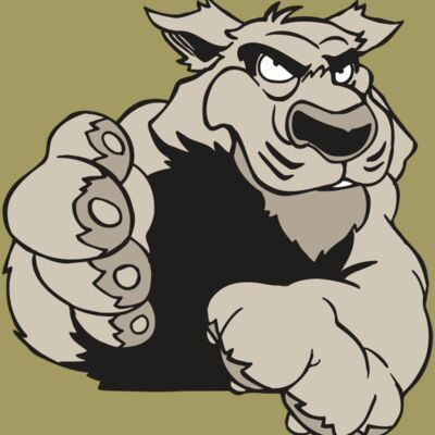 AR5 COUGAR 21 RQC Thumbnail