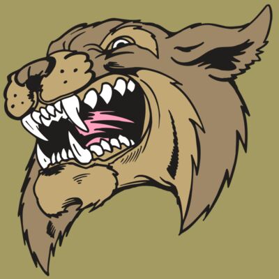 AR5 BOBCAT 09 RQC Thumbnail