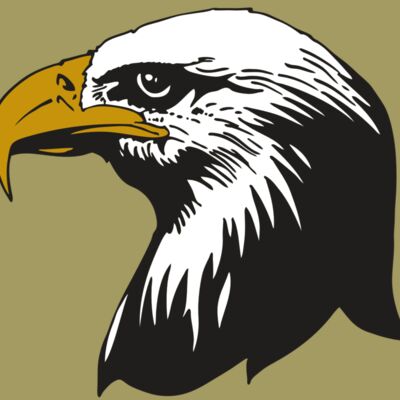 AR EAGLE 87 RC Thumbnail