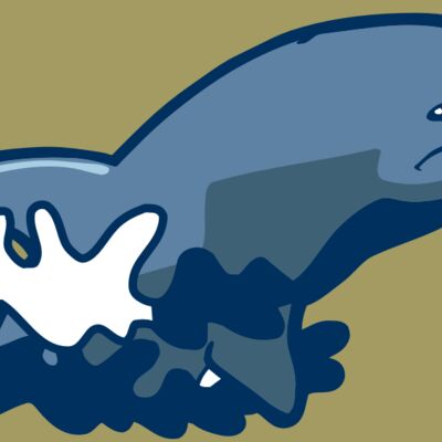 AR DOLPIN 10 RC Thumbnail