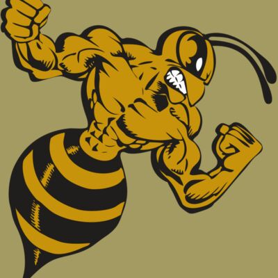 BAW BEE 01 RC Thumbnail