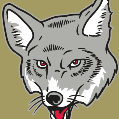 AR32 COYOTE 07 RQC Thumbnail