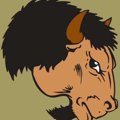 AR BUFFALO 16 RC Thumbnail