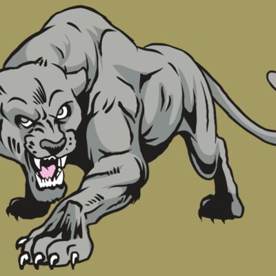 AR31 COUGAR 01 RQC Thumbnail