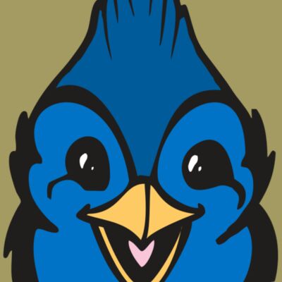 BAW BLUEJAY 19 RC Thumbnail