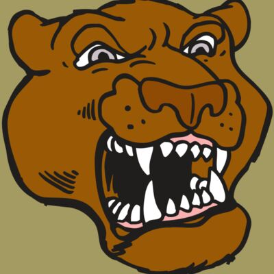 AR5 COUGAR 29 RQC Thumbnail