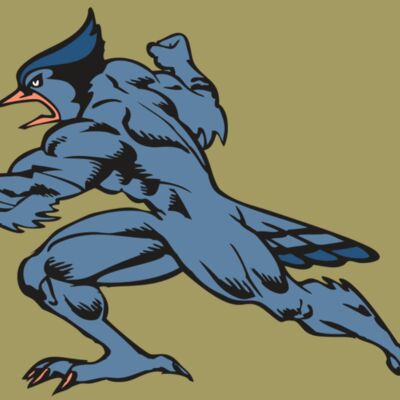 BAW BLUEJAY 15 RC Thumbnail