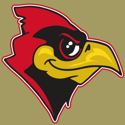 AR CARDINAL 38 RC Thumbnail