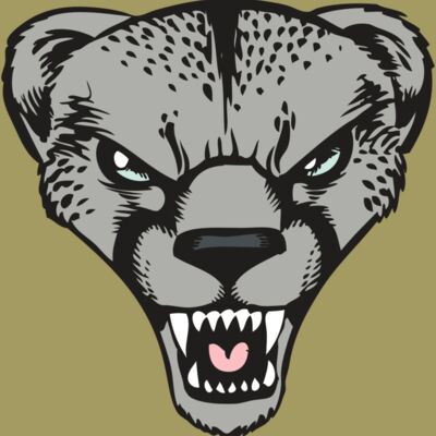 BAW CHEETAH 15 RC Thumbnail