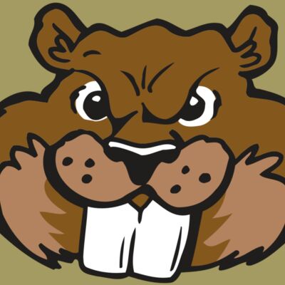 AR BEAVER 10 RC Thumbnail