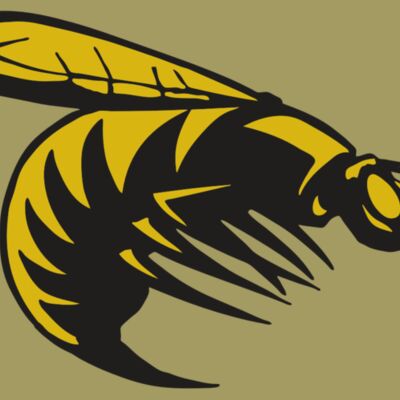 AR BEE 49 RC Thumbnail