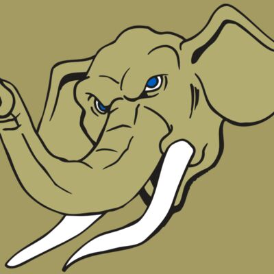 AR ELEPH 17 RC Thumbnail