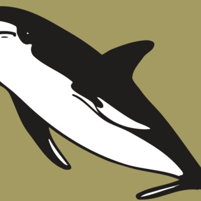 AR DOLPIN 13 RC Thumbnail