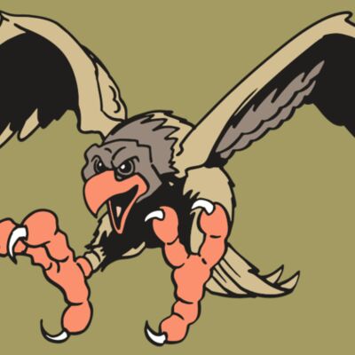 AR EAGLE 15 RC Thumbnail