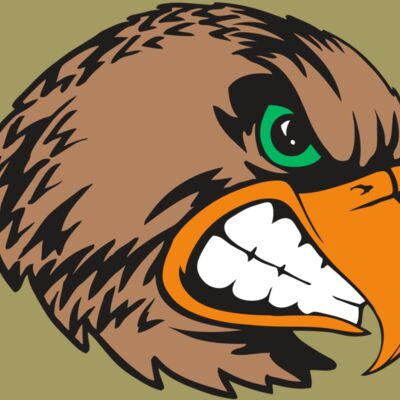 BAW HWK FLCN 09 RC Thumbnail