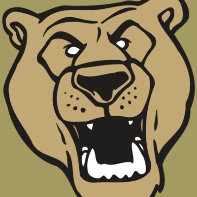 AR BEAR 13 RC Thumbnail