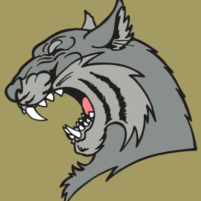 AR WILDCAT 41 RC Thumbnail