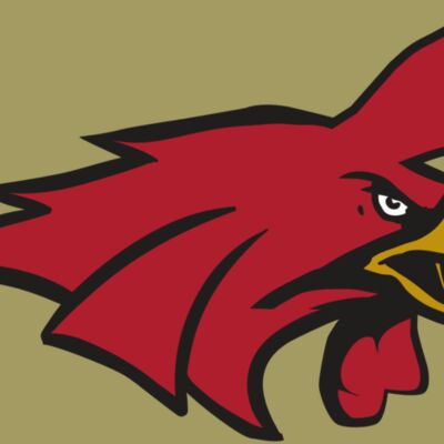 AR15 GAMECOCK 01 RQC Thumbnail