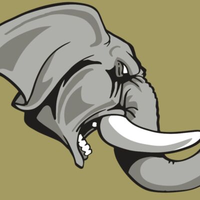 AR ELEPH 20 RC Thumbnail