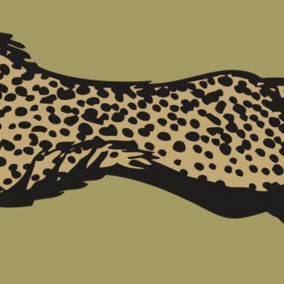 BAW CHEETAH 01 RC Thumbnail