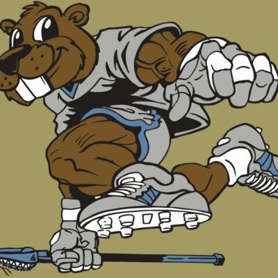 AR8 BEAVER 04 RQC Thumbnail